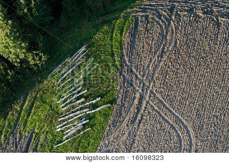 Field autumn