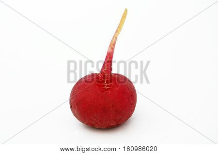 Suitable for food site advertisements radish, turnip, watermelon radish visual stock pictures