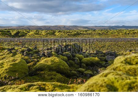 Eldhraun lava field (moss cover on lava rock) near the ring road and mountain view beautiful volcanic landscape of Iceland in summer season
