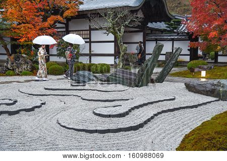 KYOTO JAPAN - NOVEMBER 18 2015 : Japanese women in yukata dress under white umbrella walk at zen garden in autumn season of enkoji temple Kyoto Japan.