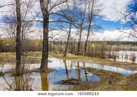The spring flood on the river Berd. Novosibirsk oblast a district of Old Iskitim Siberia Russia