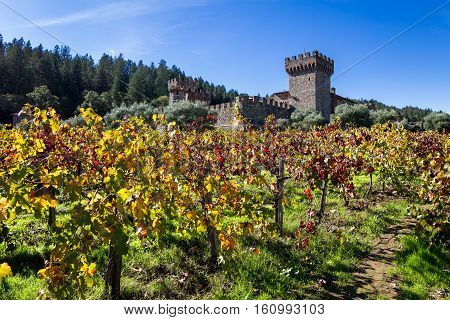 Autumn At The Castle