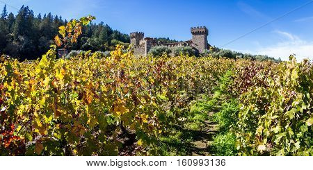 Autumn At The Castle
