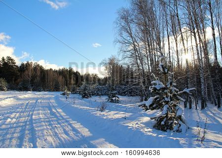 Beautiful winter landscape. Road in winter forest on a sunny day. Russia.