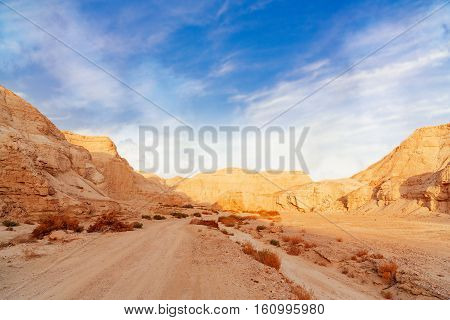 the landscape of Negev desert in Israel