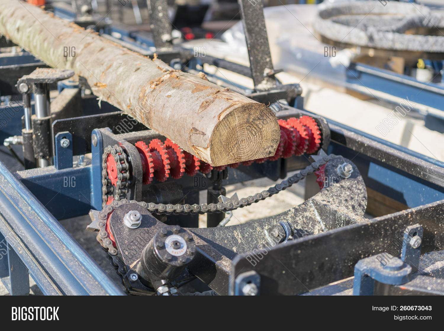 Sawmill. Process Image & Photo (Free Trial) Bigstock