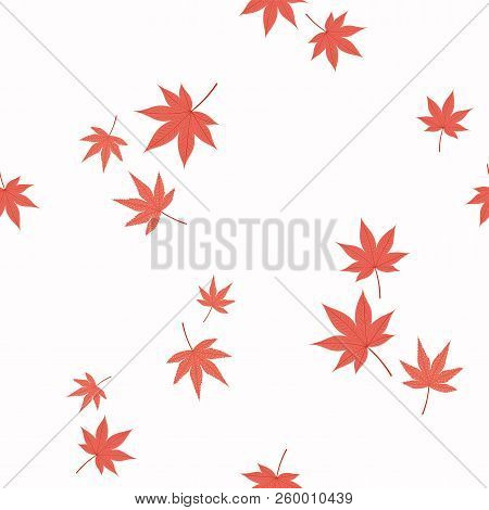 Seamless Repeat Pattern With Falling Japanese Maple Leaves, On A White Background. Hand Drawn Vector
