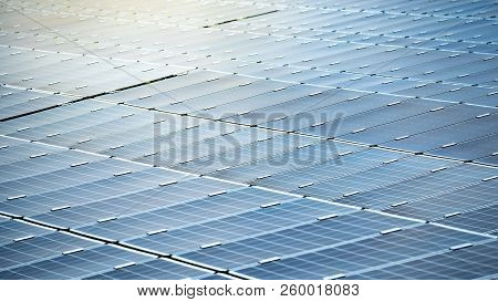Rows Array Of Solar Panels Or Polycrystalline Silicon Solar Cells In Solar Power Plant Using Sunligh