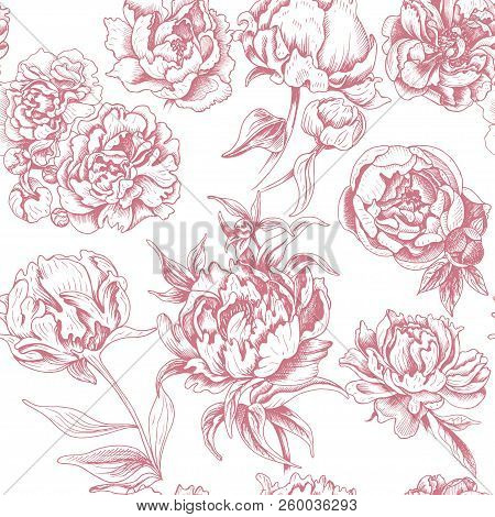 Vector Illustration Sketch - Card With Flowers Chrysanthemum, Peony. Pattern With Flowers. Dahlias, 