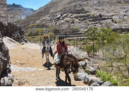 Hajjarah, Yemen - March 14, 2010: Unidentified Girls Graze A Herd Of Farm Animals. From An Early Age