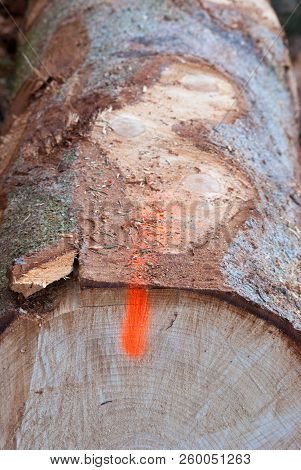 Signal On The Trunk Already Demolished For Industrial Use