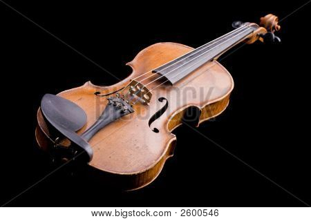 Violin