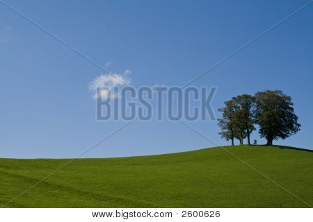 Enkel sommer landskab