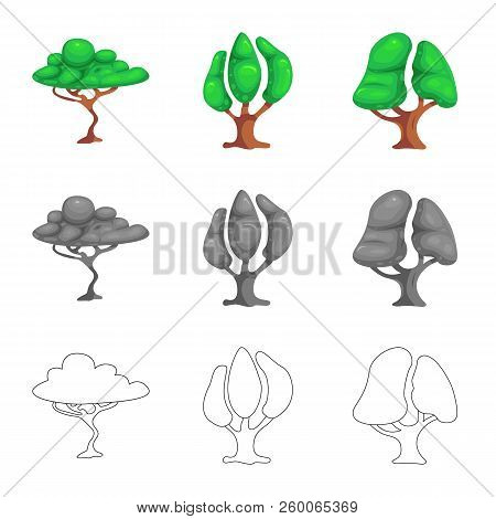 Vector Design Of Tree And Nature Icon. Set Of Tree And Crown Vector Icon For Stock.