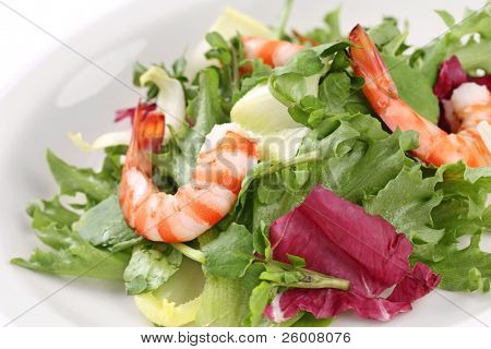 Garnaal Salade, garnalensla
