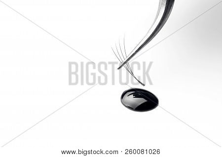 Master Of Artificial Eyelashes Forms Bundle In Drop Glue With Tweezers 4d.