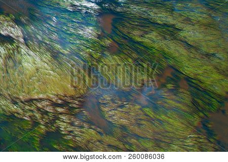 Algae In The River Stream