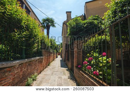 Emptu Narrow Street In Venice With Lot Of Green Shrubbery