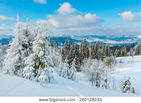 Winter Calm Mountain Landscape With Beautiful Frosting Trees And Snowdrifts On Slope (carpathian Mou