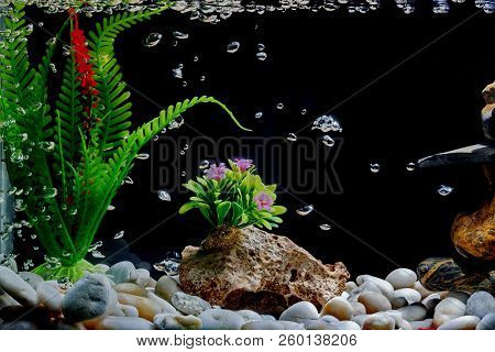 Fish Tank Decor, With Gravel And Tree, With Bubbles On The Black Backdrop.
