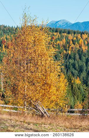 Morning Carpathian Mountains With Colorful Forest On Slopes (yablunytsia Village And Pass, Ivano-fra