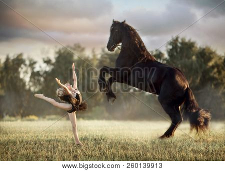 Little Ballerina Girl With Black Friesian Stallion At Summer Evening