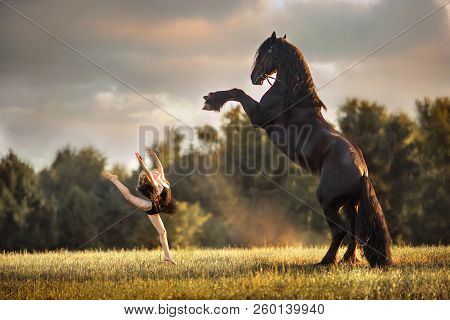 Little Ballerina Girl With Black Friesian Stallion At Summer Evening