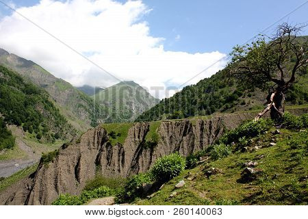 The Remains Of An Abandoned Mountain Village, A Lonely Tree