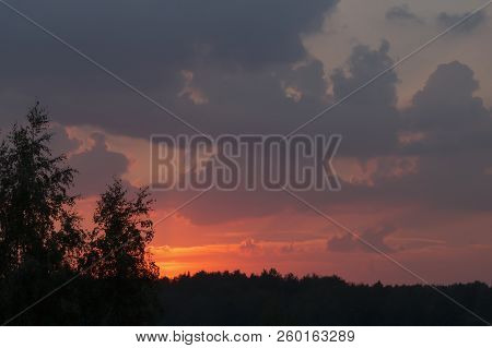 Mystical Purplish Red Sunset Over The Dark Silhouette Of City Forest