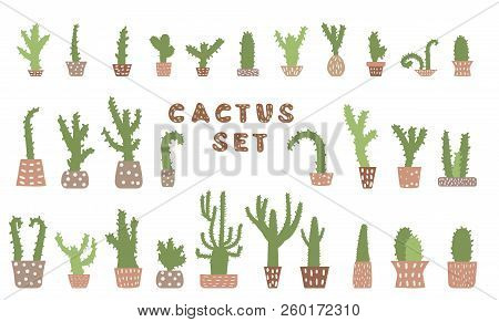 Vector Cactus Design Set. Handdrawn Collection Of Houseplant.