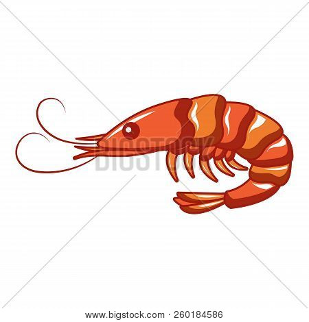 Ocean Shrimp Icon. Cartoon Of Ocean Shrimp Icon For Web Design Isolated On White Background