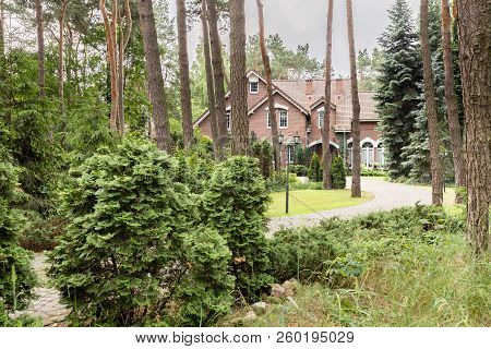 Real Photo Of A Forest With Coniferous Shrubs, Trees And English Style House