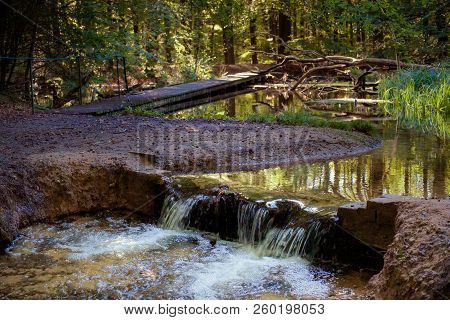 Swampy Forest With Sunbeams, Flowing Streams And Autumn Colors