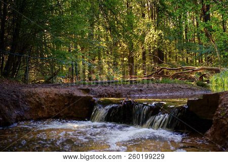 Swampy Forest With Sunbeams, Flowing Streams And Autumn Colors