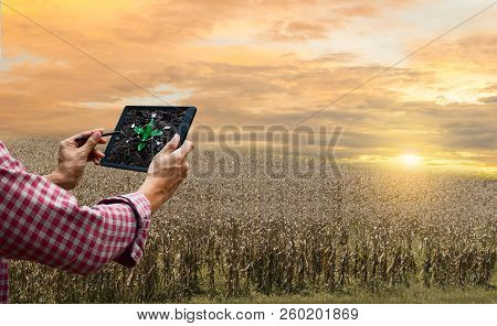 Farmer Control Tablet Agriculture Automatic Technology Future Tree Care And Tree Planting Drought Gl
