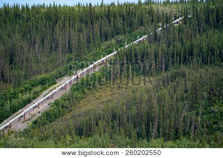 Aerial View Of The Trans Alaska Pipeline From Copper Center Alaska, Boreal Forest Surrounds The Pipe