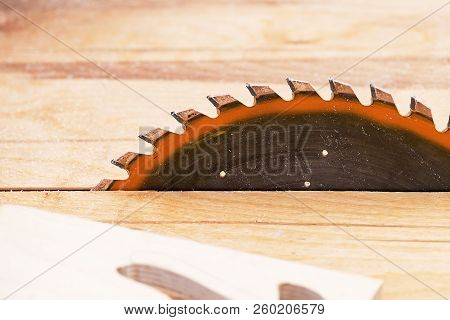 Of The Circular Saw Blade For Wood, Circular Saw Blade With Teeth And A Tree