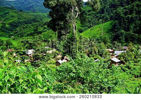 Isolated Khmu Village In The Jungle Of Luang Namtha Province, Laos