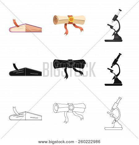 Vector Illustration Of Education And Learning Icon. Set Of Education And School Stock Symbol For Web