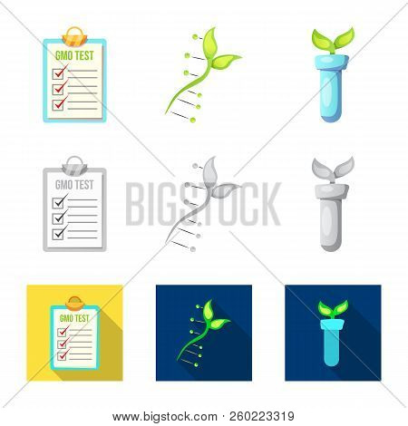 Isolated Object Of  And  Symbol. Collection Of  And  Stock Vector Illustration.