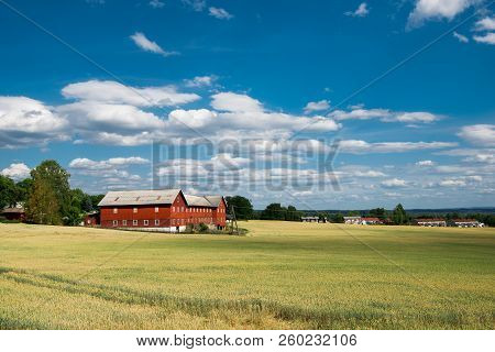 Rural Scene With Field And Houses Under Blue Sky, Hamar, Hedmark, Norway