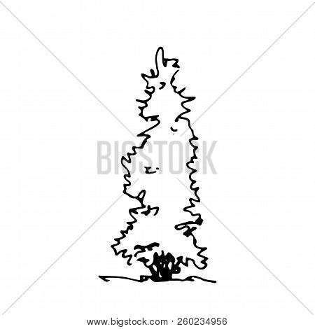 Transparent Background Hand Drawn Christmas Tree Clipart Free - Dekoration Ideen