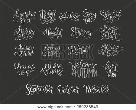 Cozy Fall Vector Lettering Set. Hand Drawn Autumn Quotes. Big Autumn Lettering Collection With Posit