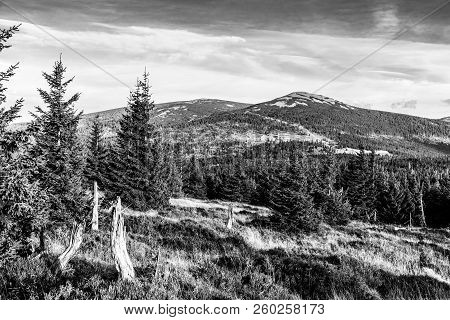 Green Forest Landscape With Maly Sisak Mountain And Mountain Huts, Giant Mountains, Krkonose, Czech 