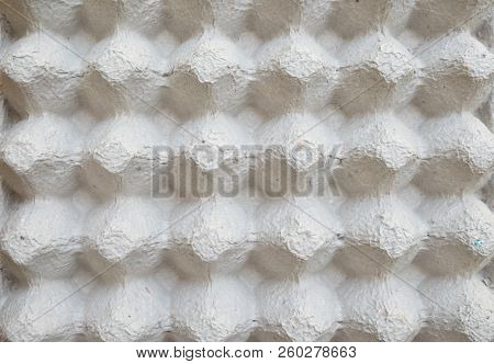 Cardboard Made For Egg Container, Top View