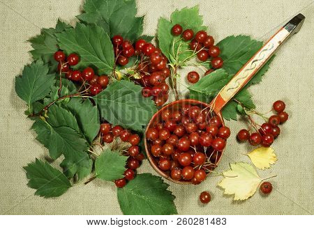 Hawthorn. Dry Herbs For Use In Alternative Medicine, Phytotherapy, Spa, Herbal Cosmetics. Preparing 