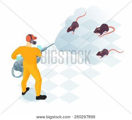 Worker Of Pest Control Service With Professional Equipment During Domestic Disinfection From Rodents