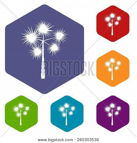 Palm Chamaerops Icons Set Rhombus In Different Colors Isolated On White Background