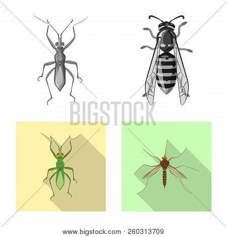 Vector Design Of Insect And Fly Icon. Set Of Insect And Element Vector Icon For Stock.
