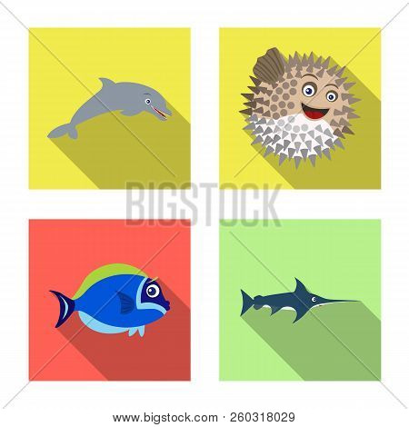 Vector Illustration Of Sea And Animal Sign. Collection Of Sea And Marine Stock Symbol For Web.